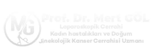Prof. Dr. Mert GÖL